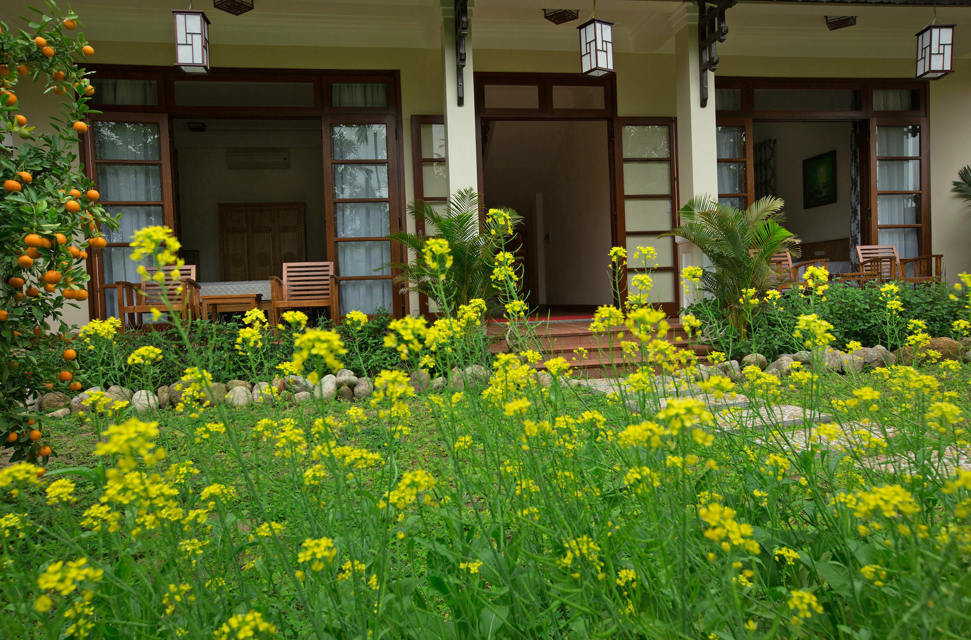 הוי אן Tropical Garden & Pool Villa מראה חיצוני תמונה